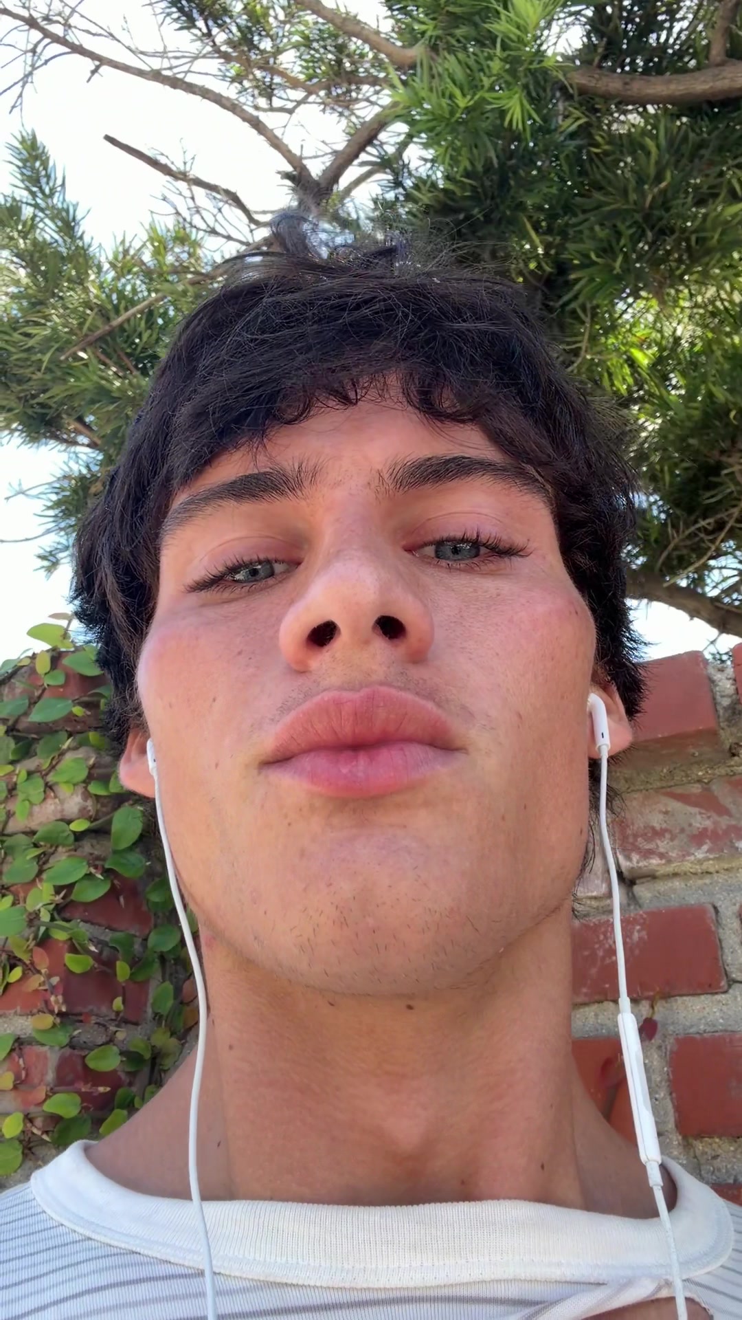 @sky