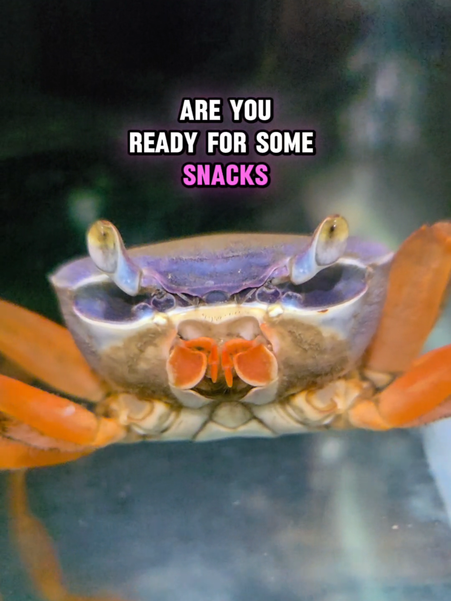 @Howie The Crab