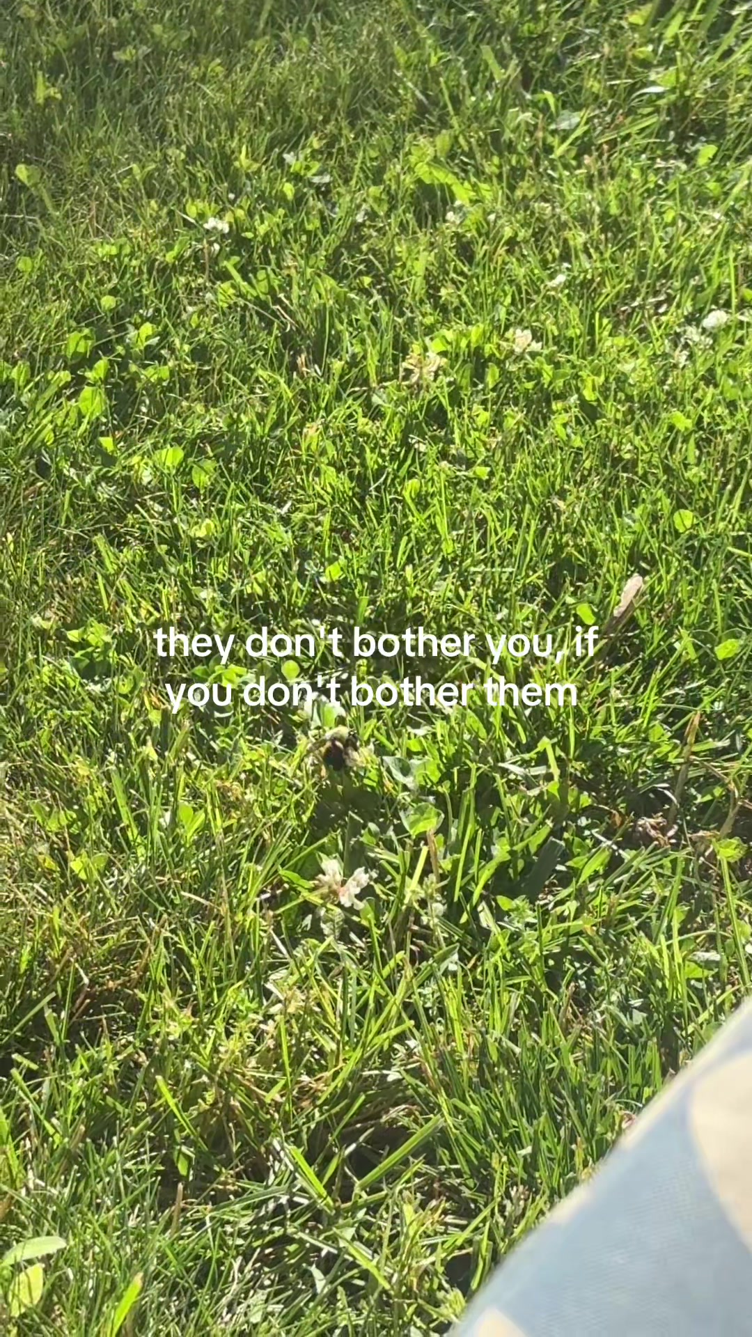 @swag🫧🤍💋