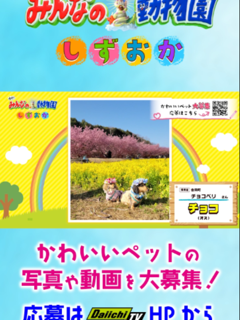 @Daiichi-TV