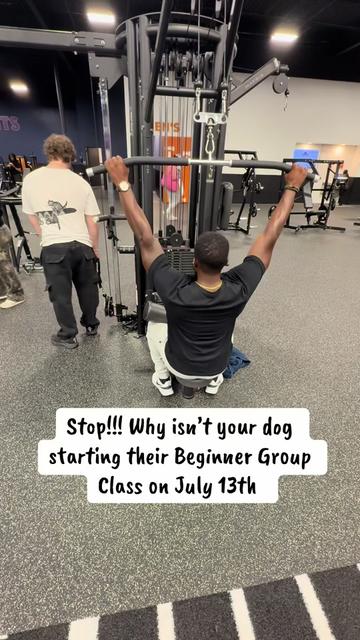 @DJ | Dog Trainer