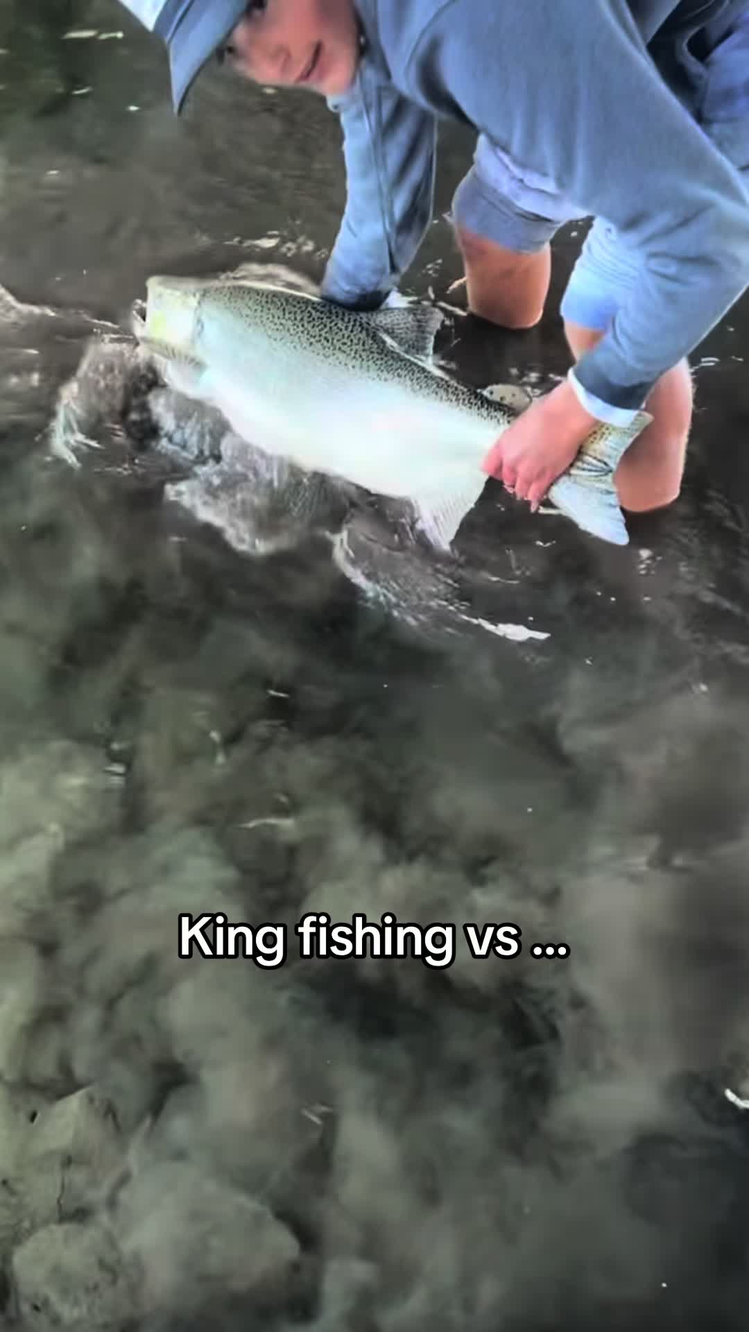 @graziadeifish