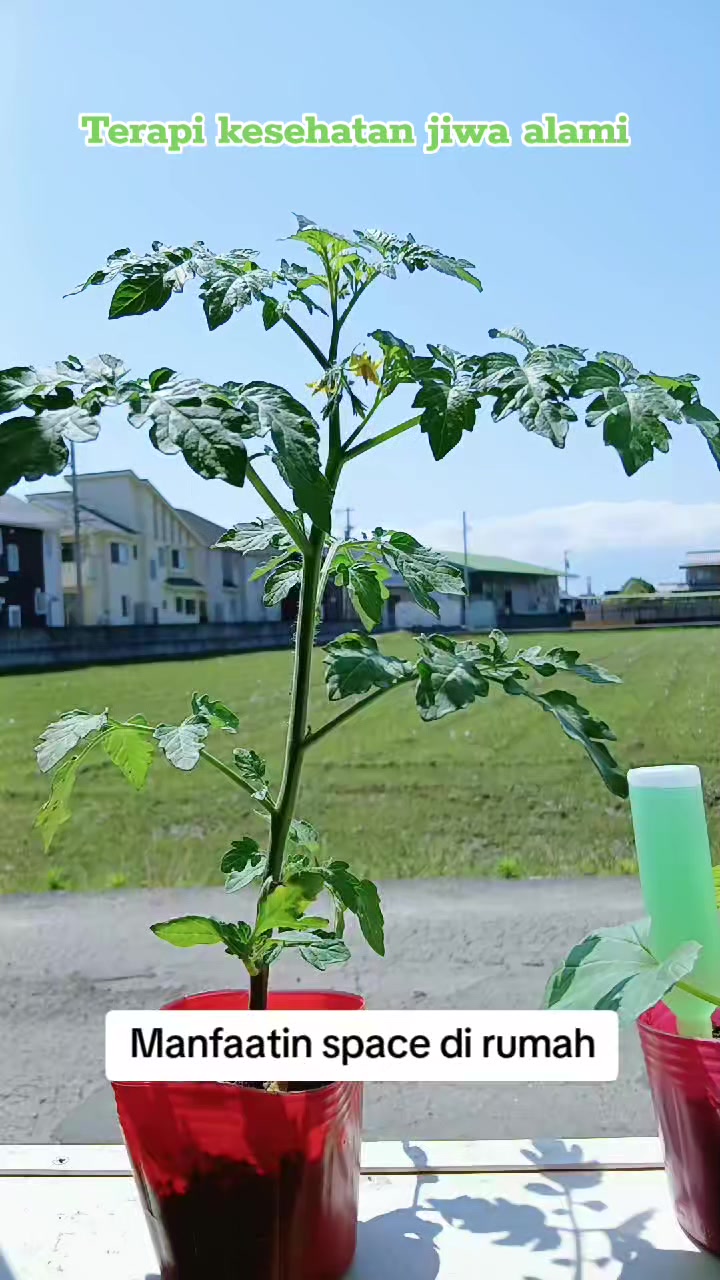 @Wa_hyu