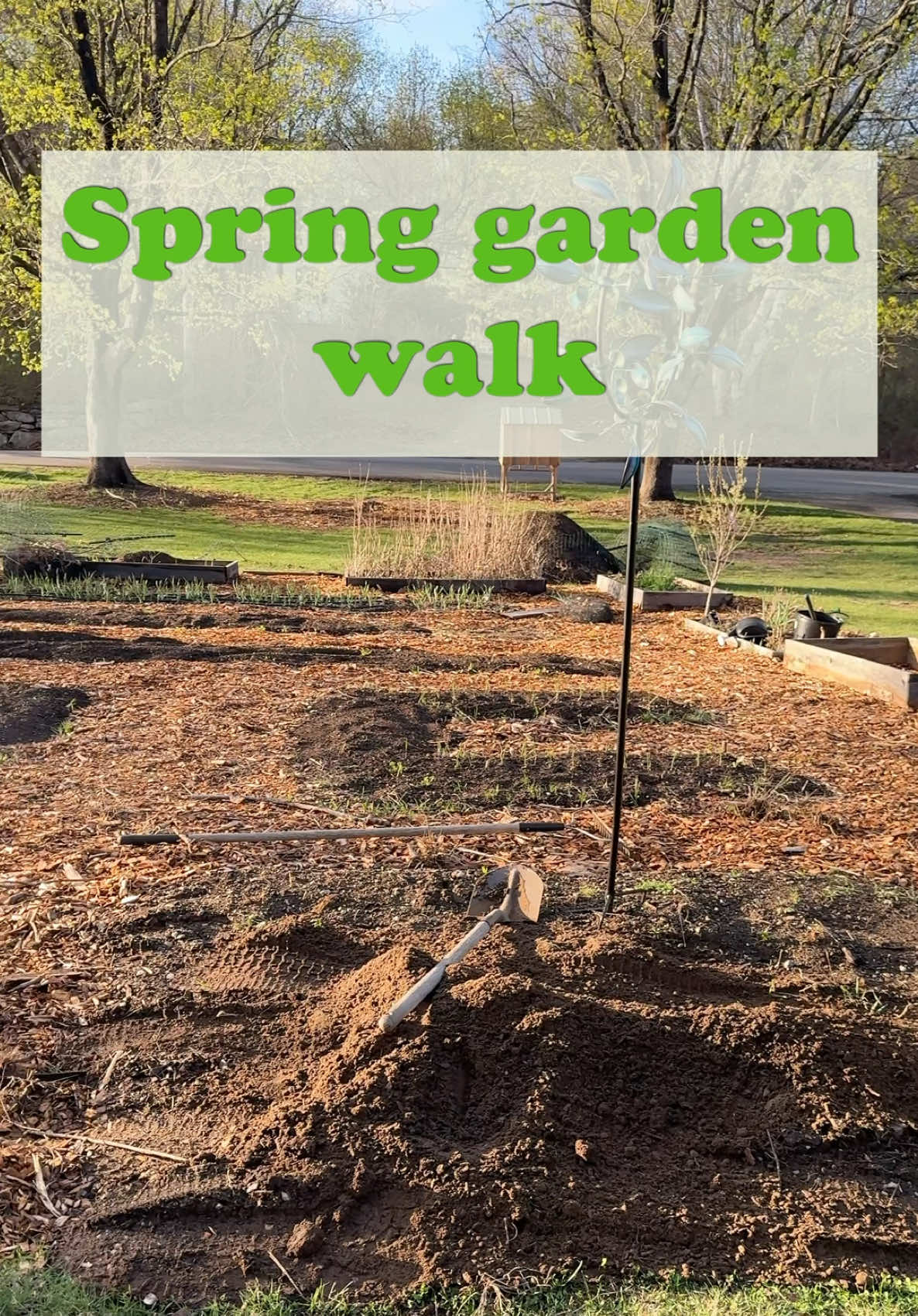 @Manica | zone 6a gardener
