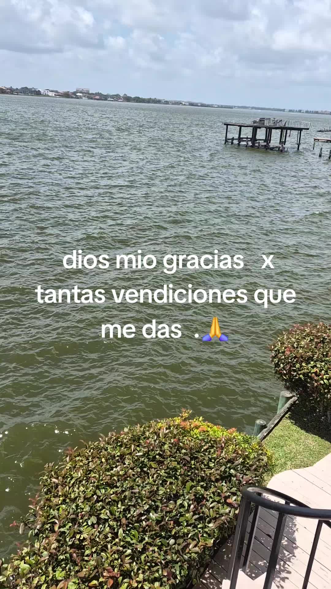 @Wilma Torres