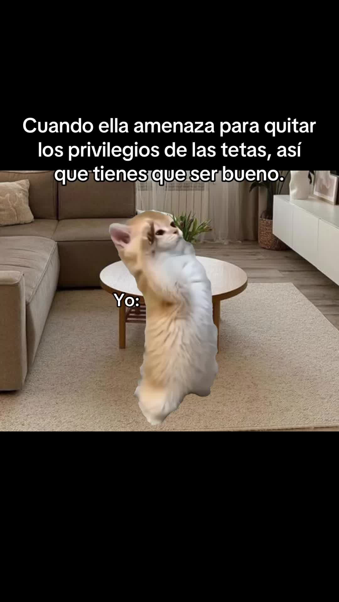@AmorInfiny