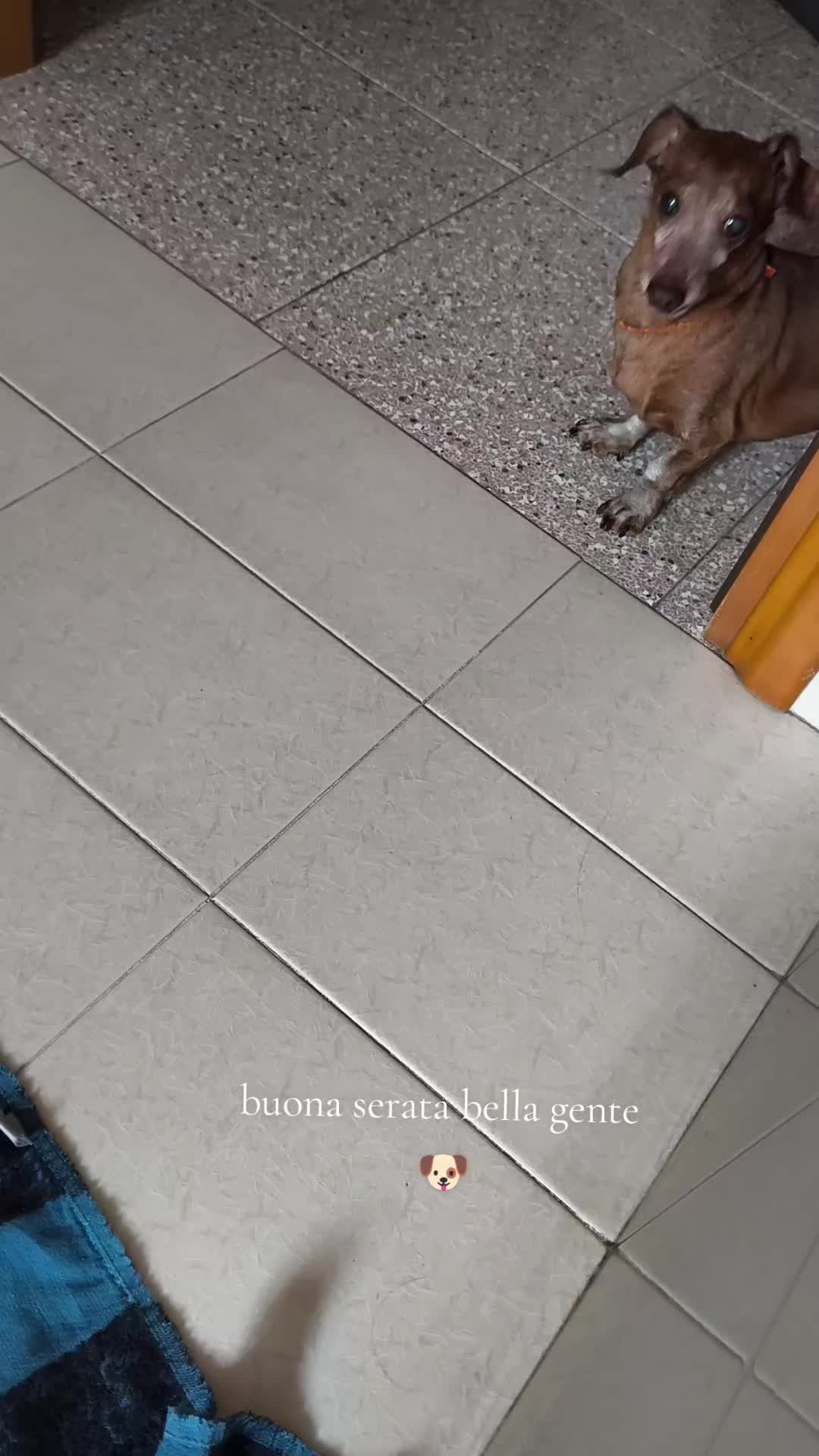 @Marta e Jj