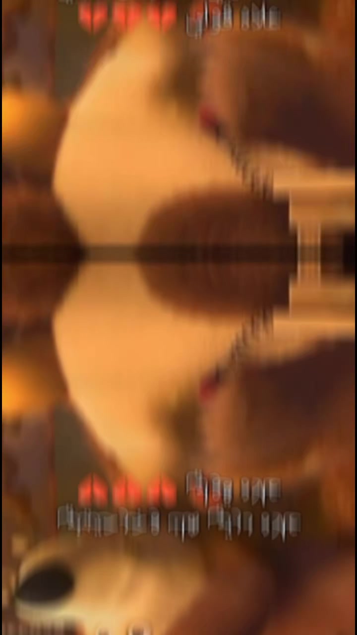 @سطايفي مريول