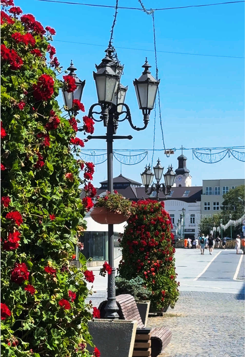@Made in Uzhhorod