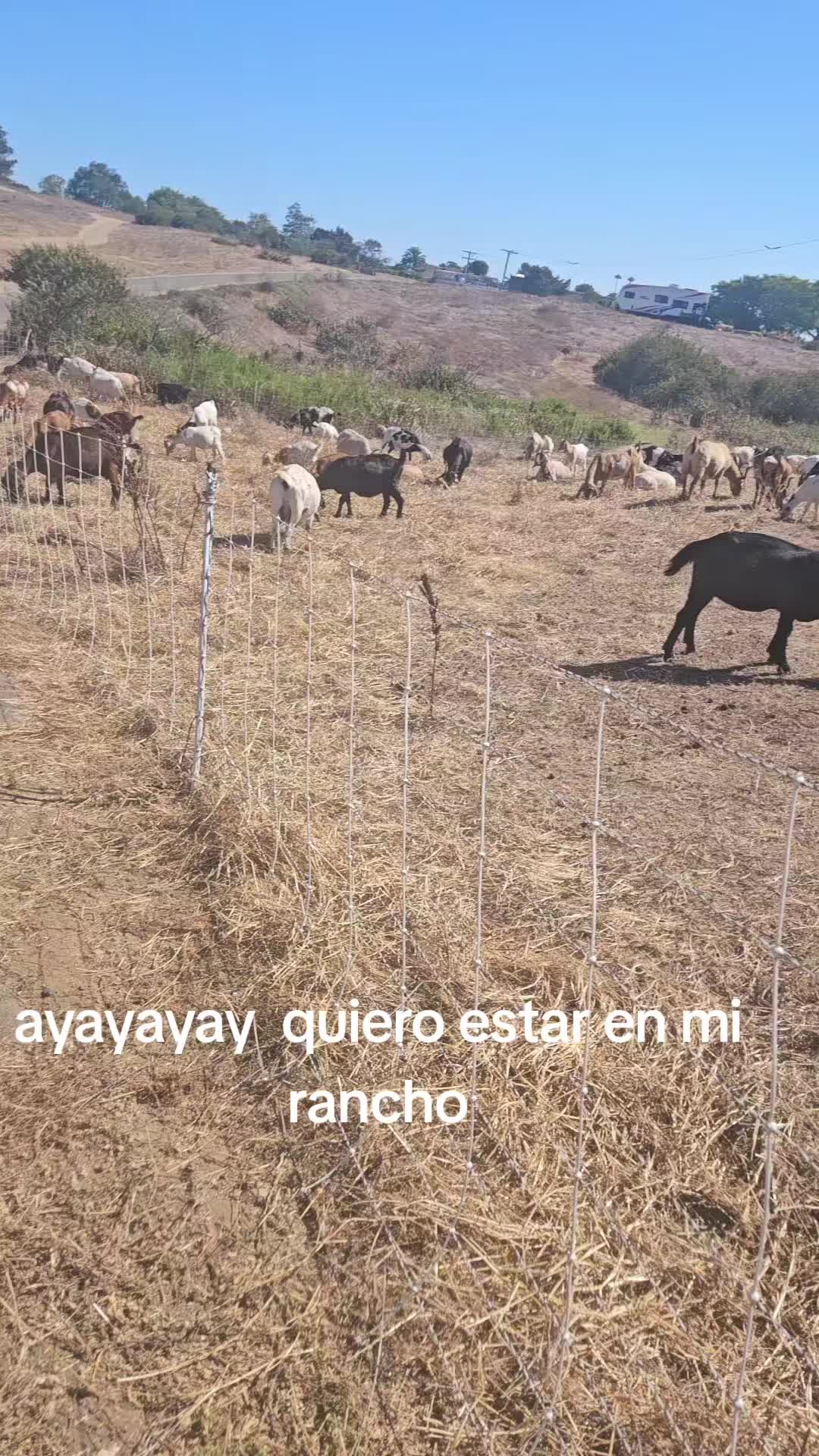@clararabadan292