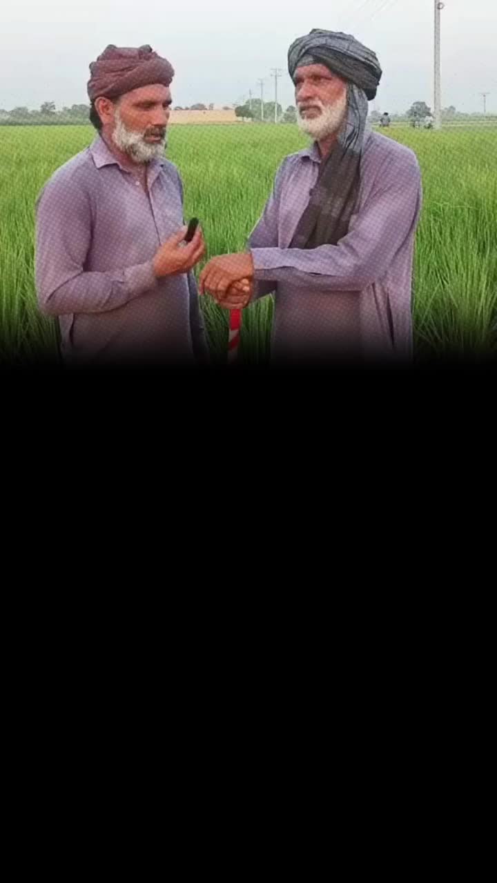 @M Thufail Thufail