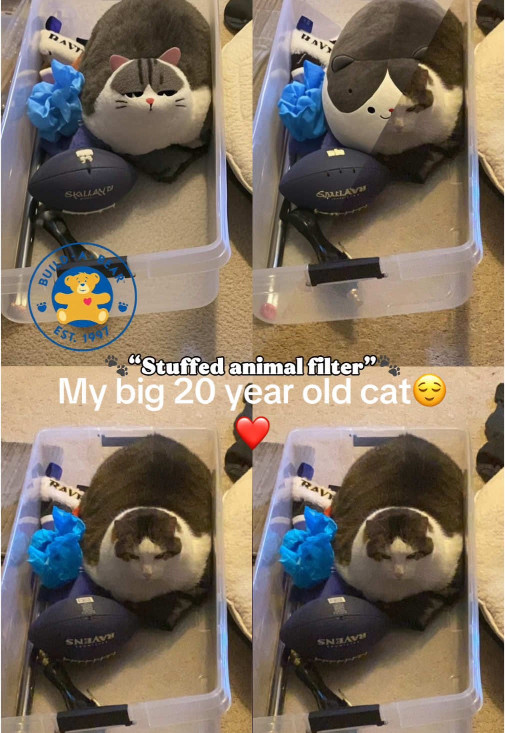 @Miss.creative101