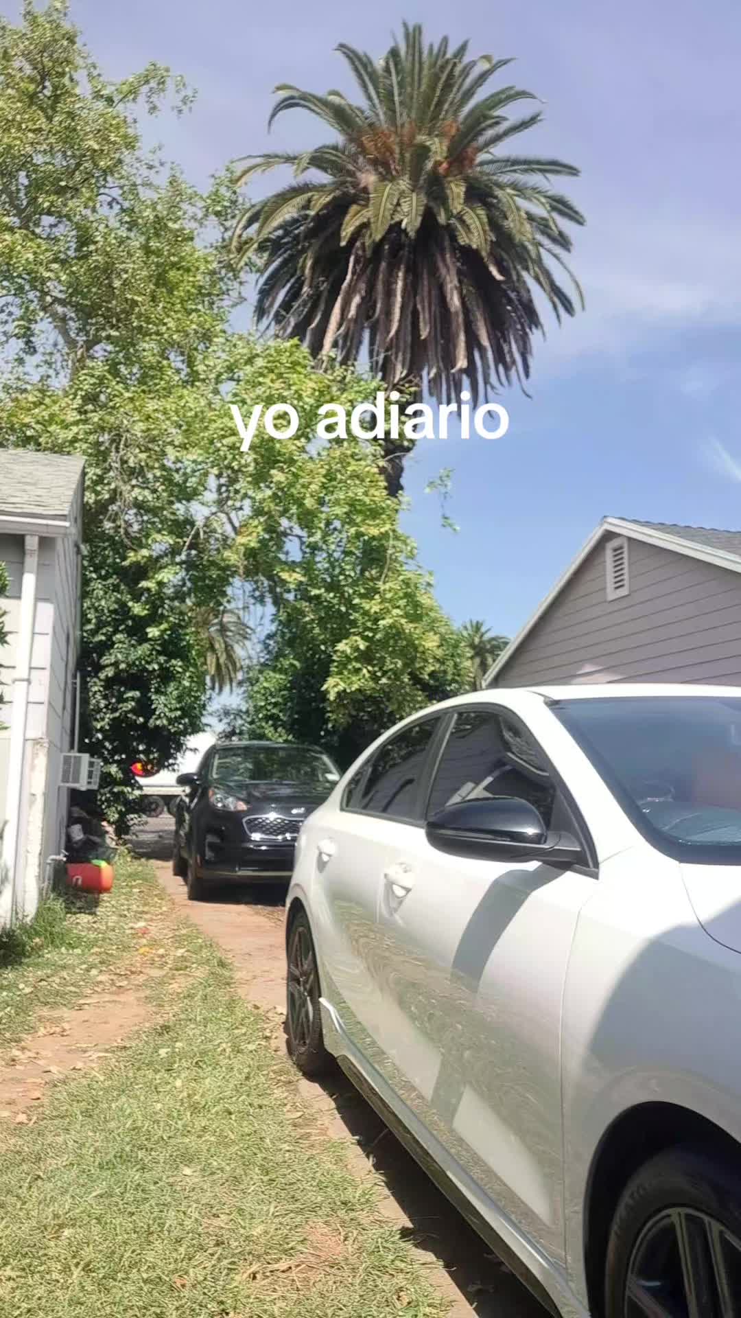 @el barbas de Jalisco