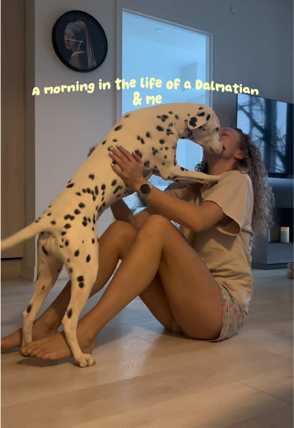 @Nevada the Dalmatian