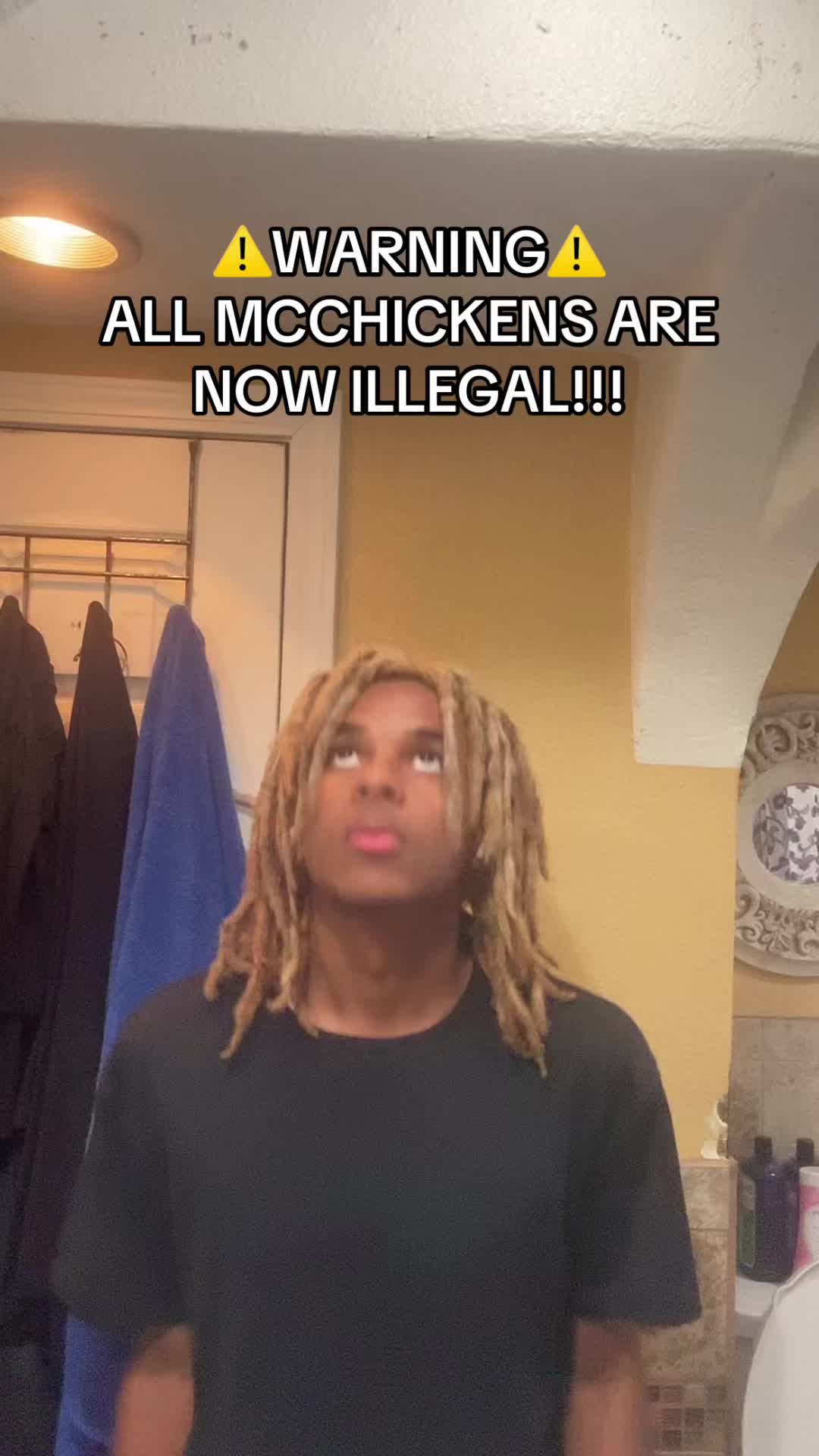@ohbabyilovemcchickens