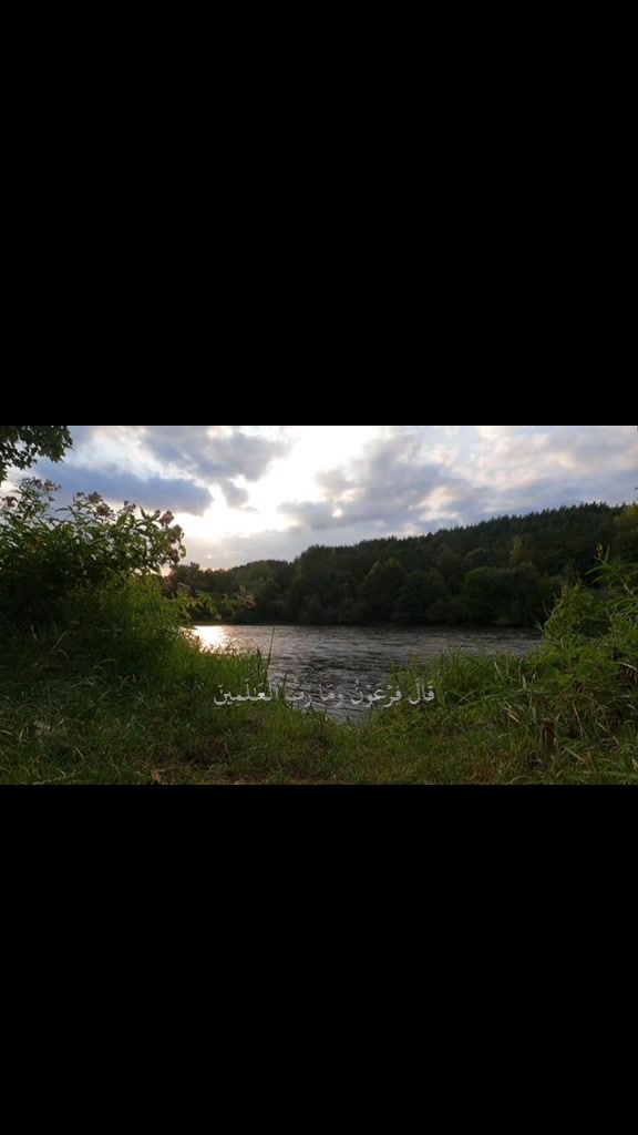 @MN