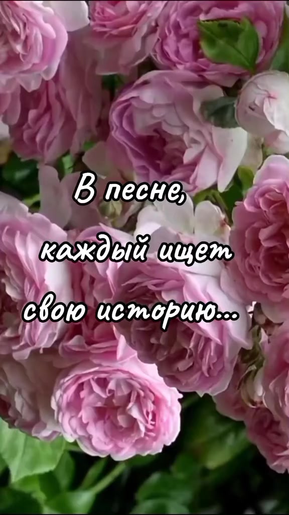 @niko
