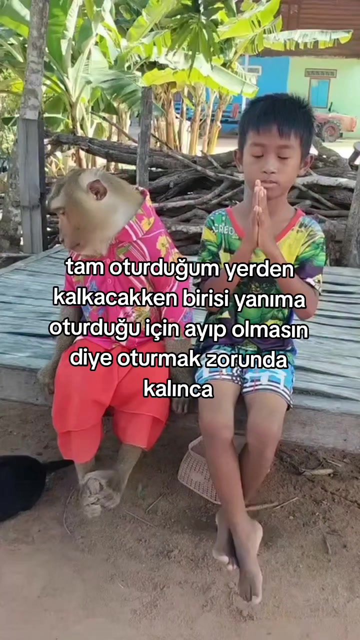 @rolland