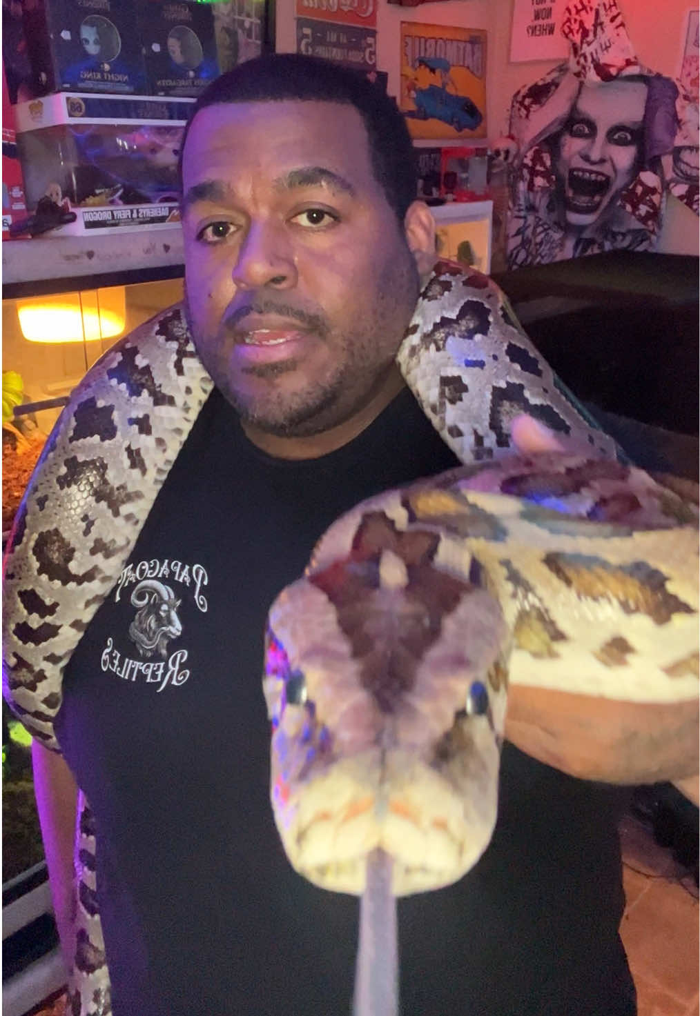 @🐍 Derricks Reptiles 🐍