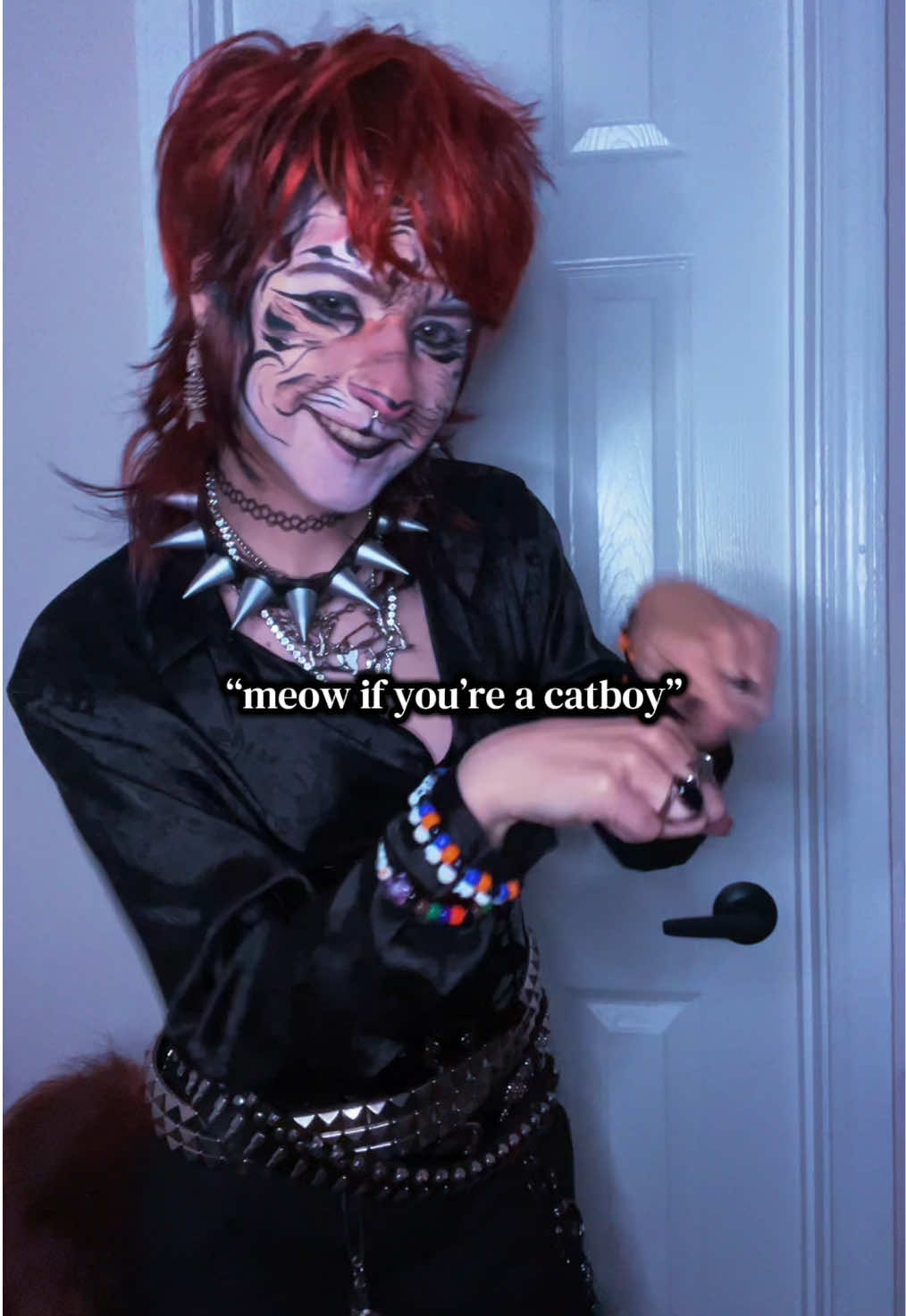 @Mr. Meow😾