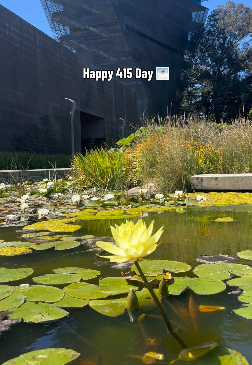 @deyoungmuseum