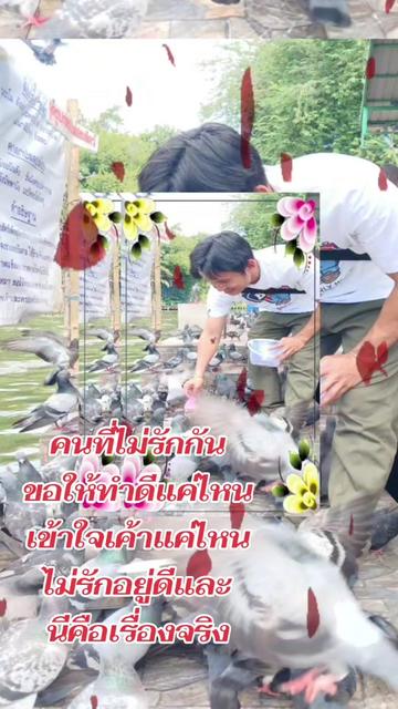 @@ถ้าจะมาแค่เหงา ไม่ต้องมาหรอ👌