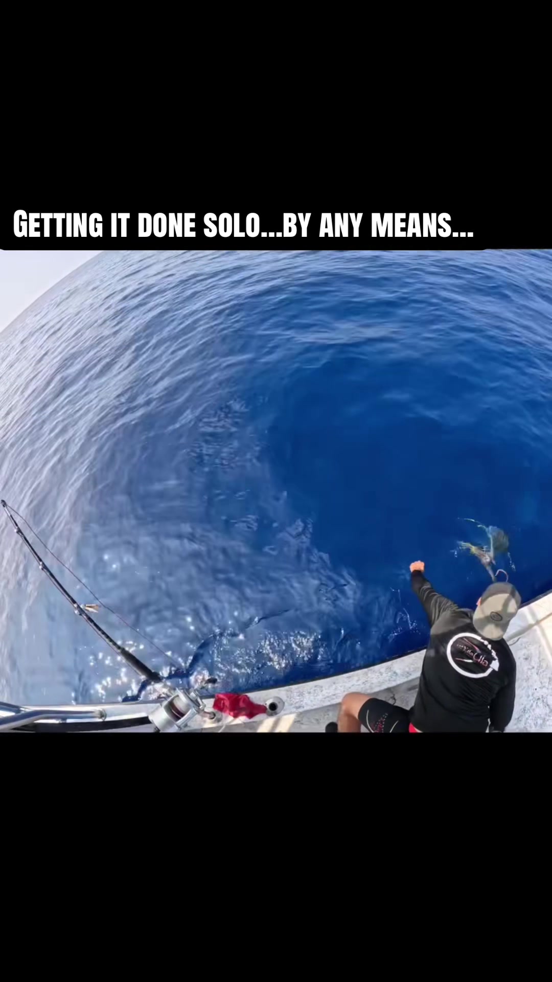 @daily.saltwater