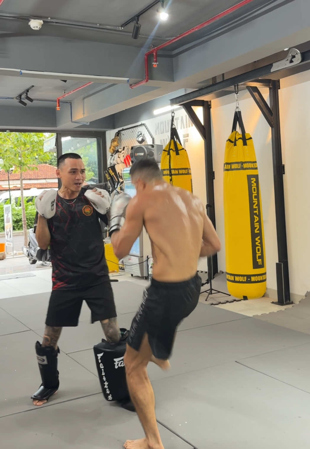 @coach fighter