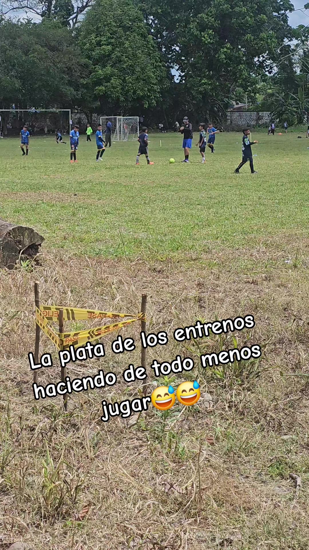 @vivian vargas