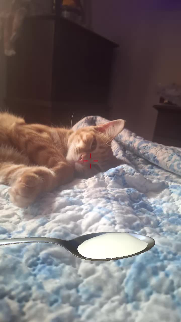 @hi