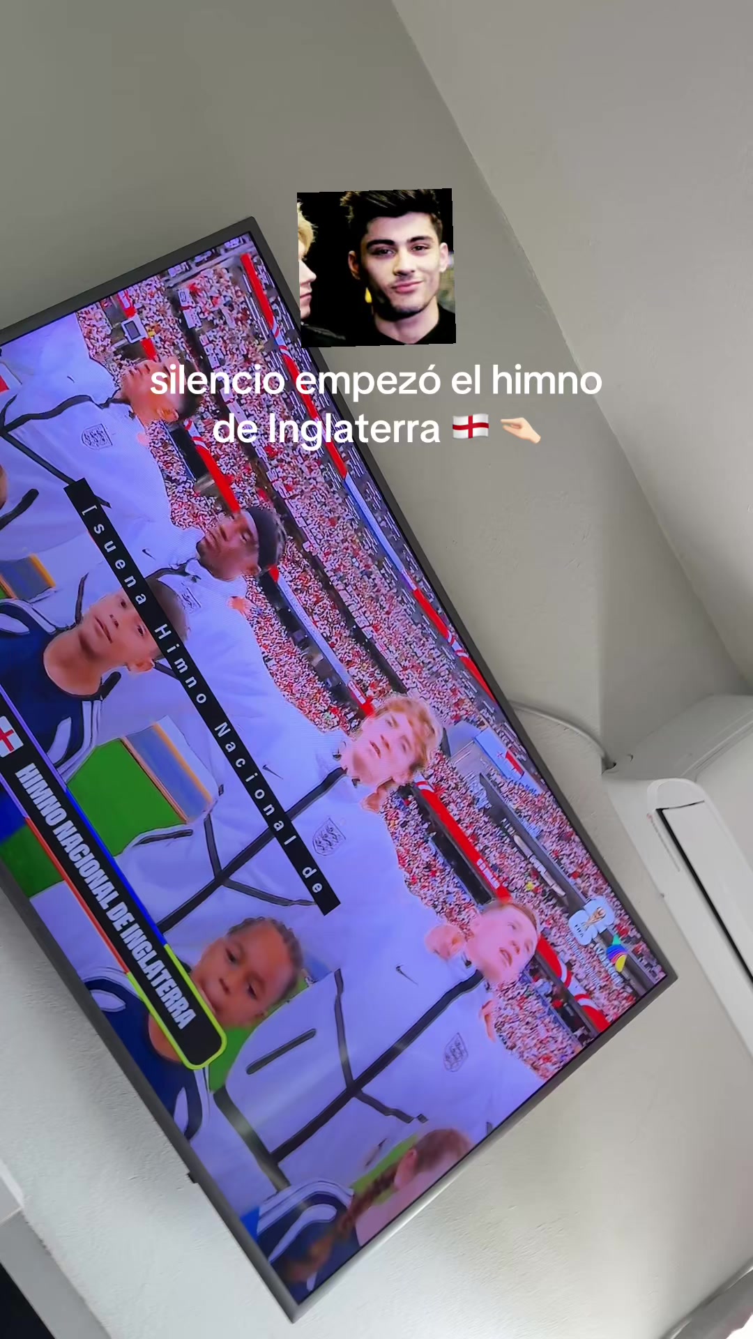 @paola_lizardi