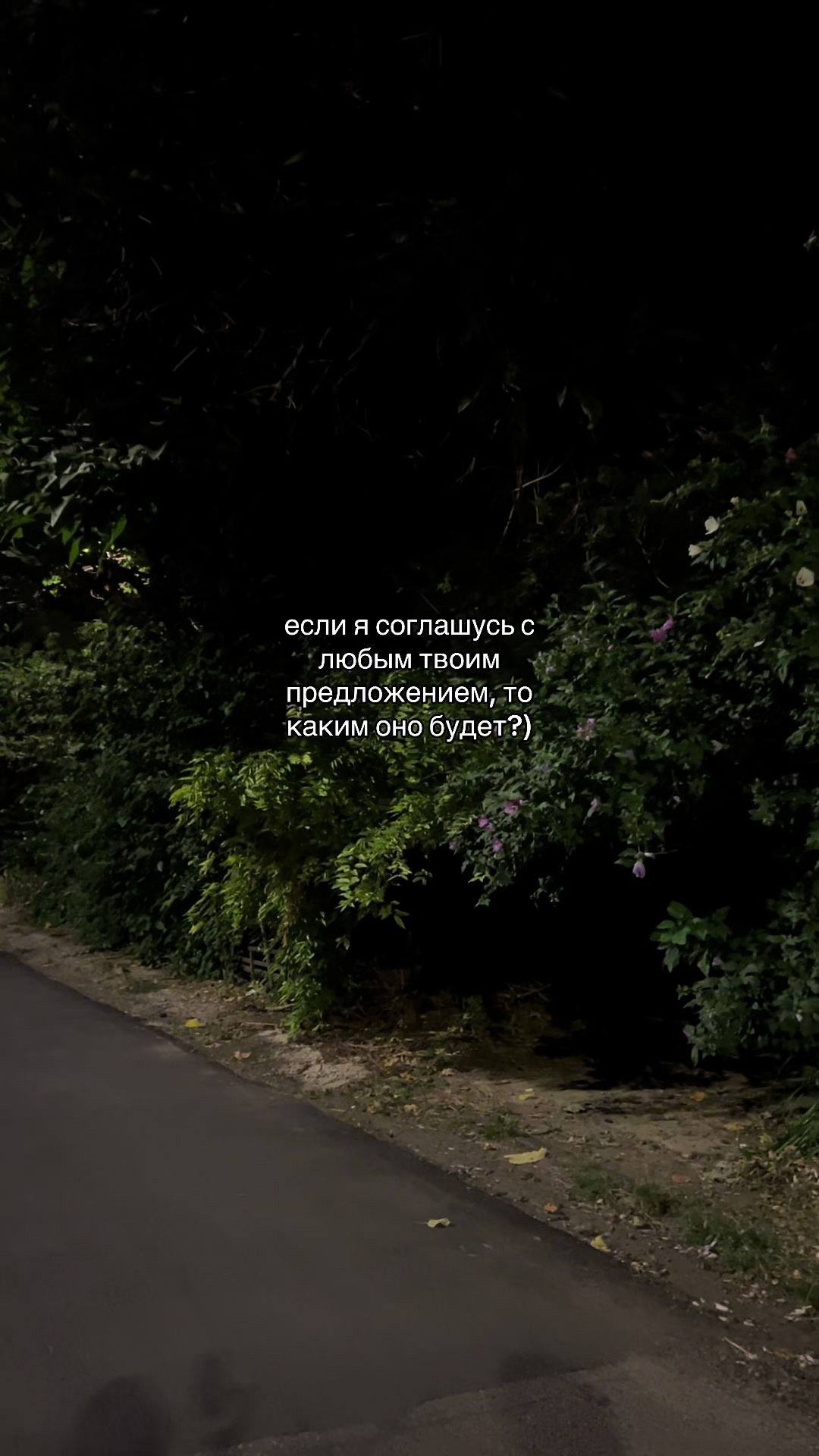 @кис кис💗