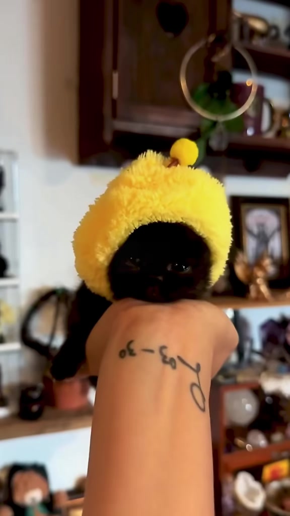@catbosssss