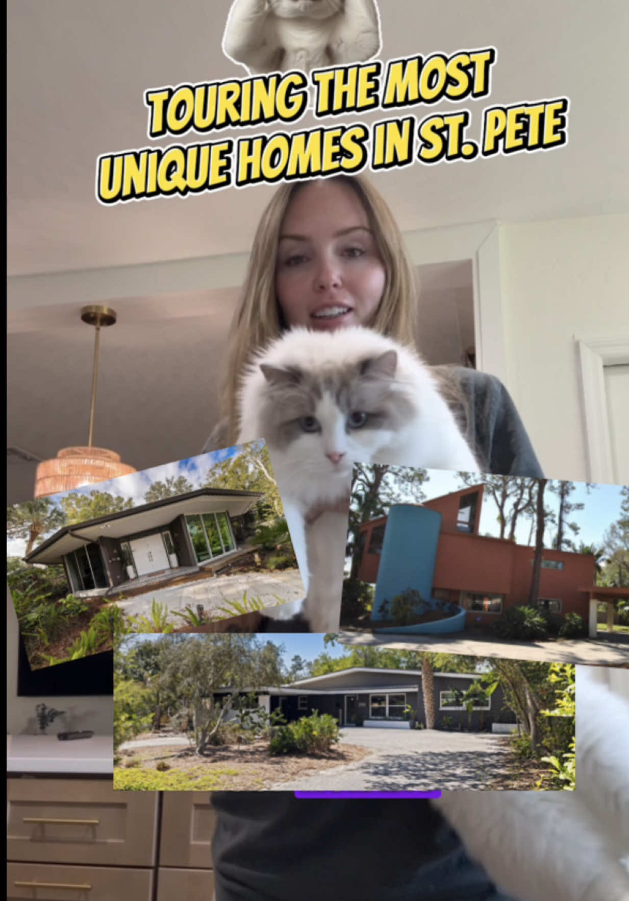 @Rachel / St. Pete Realtor🌞🌴