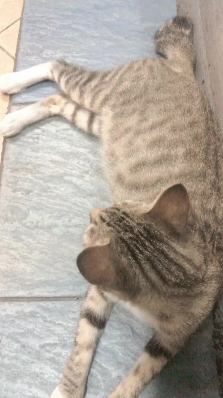 @Kunfayakun🤲🏻