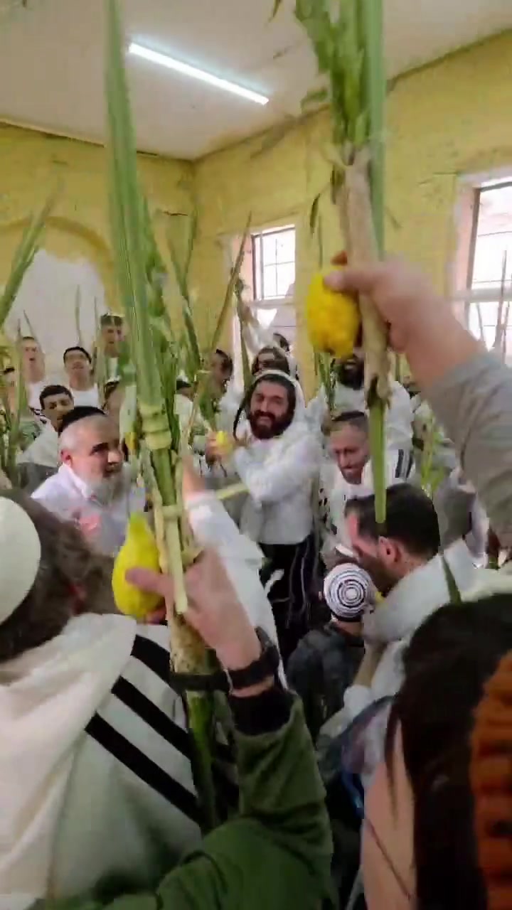 @Living Lchaim