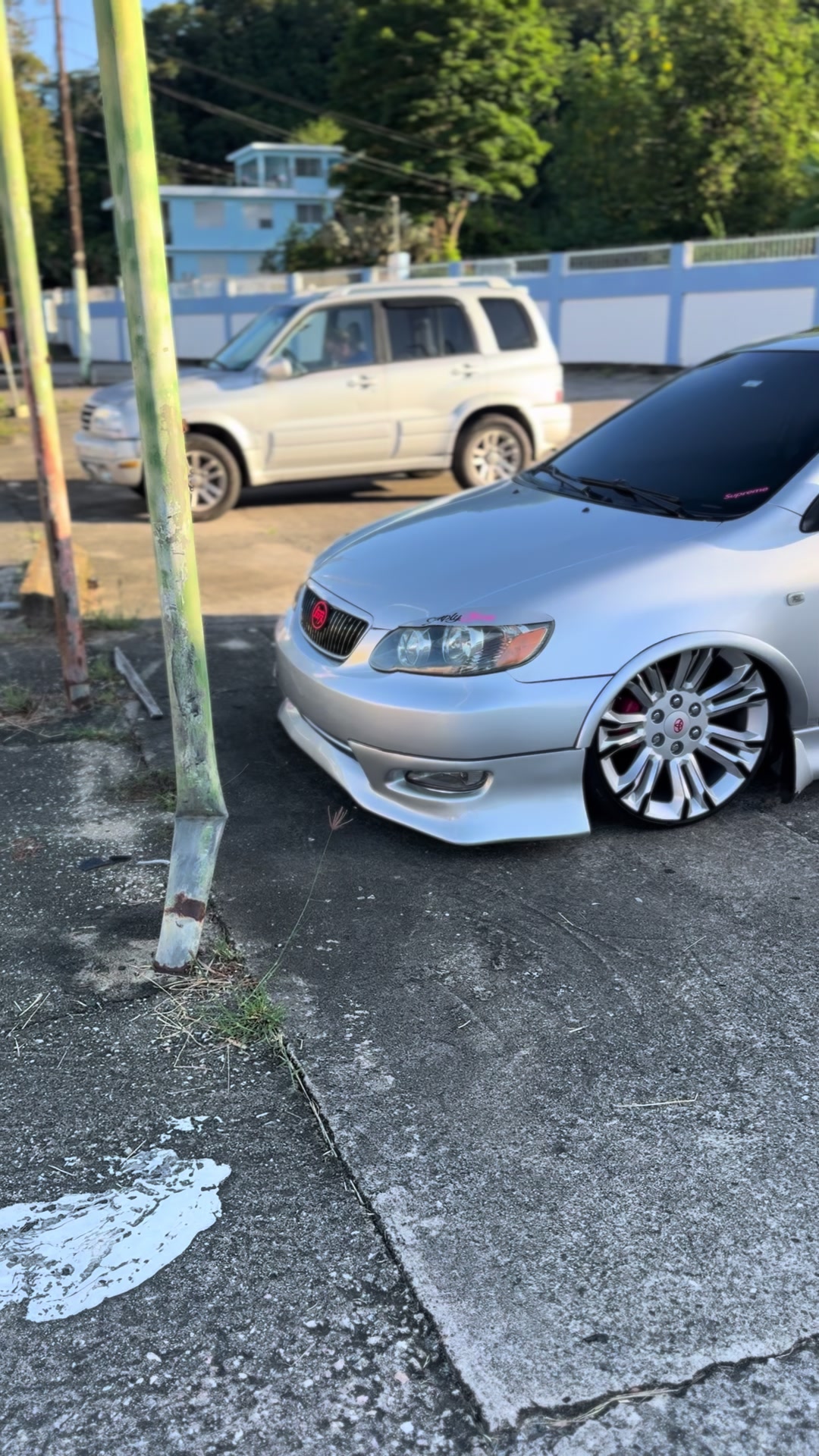 @J.Cachete🦍🩶💓