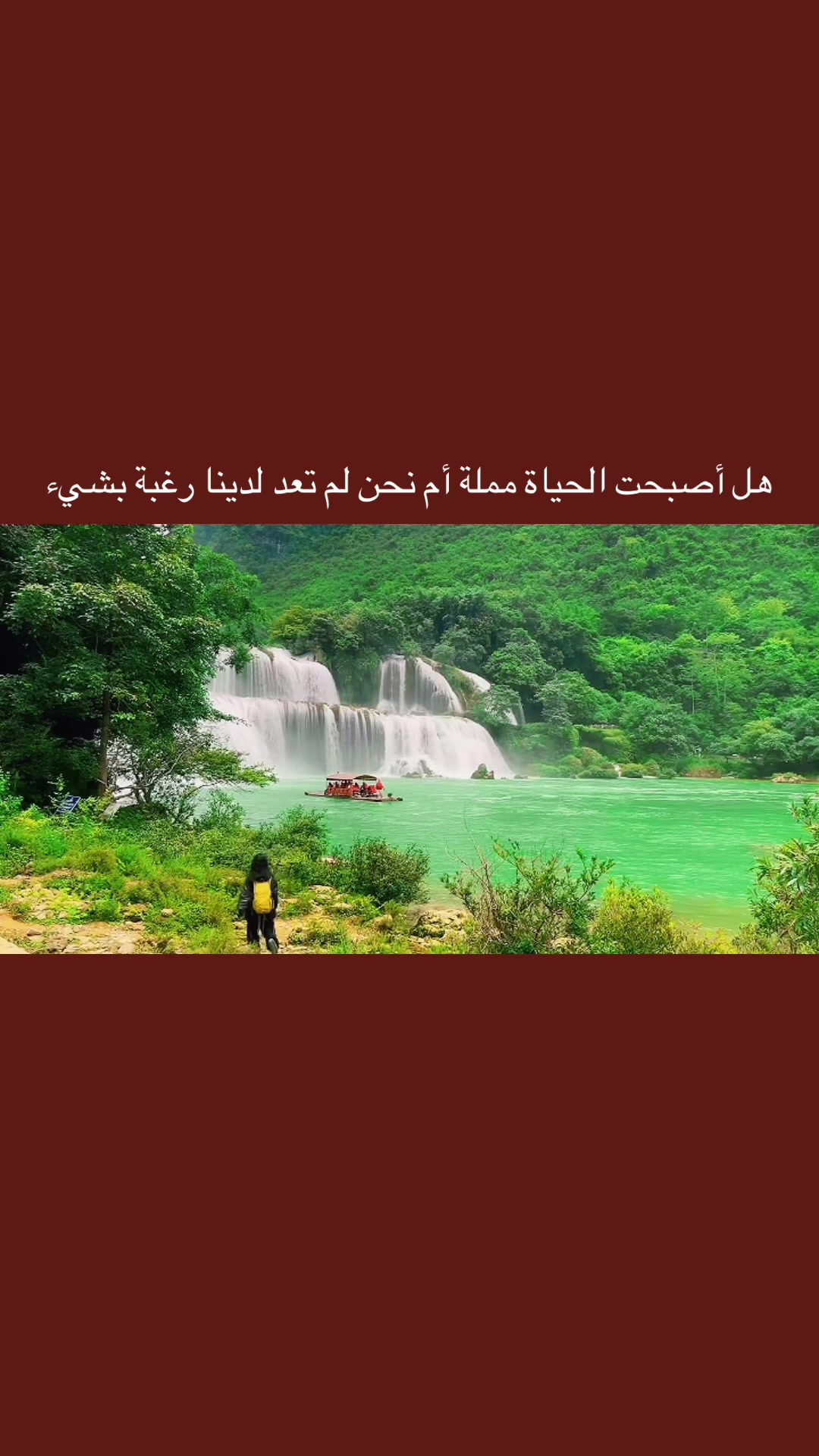 @المجتهد