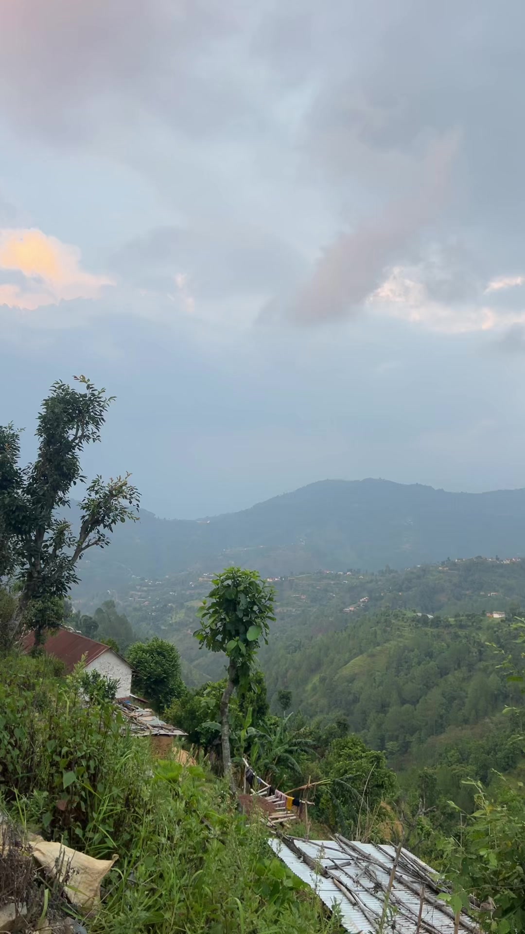 @💕🌹चन्दना महत🌹💕