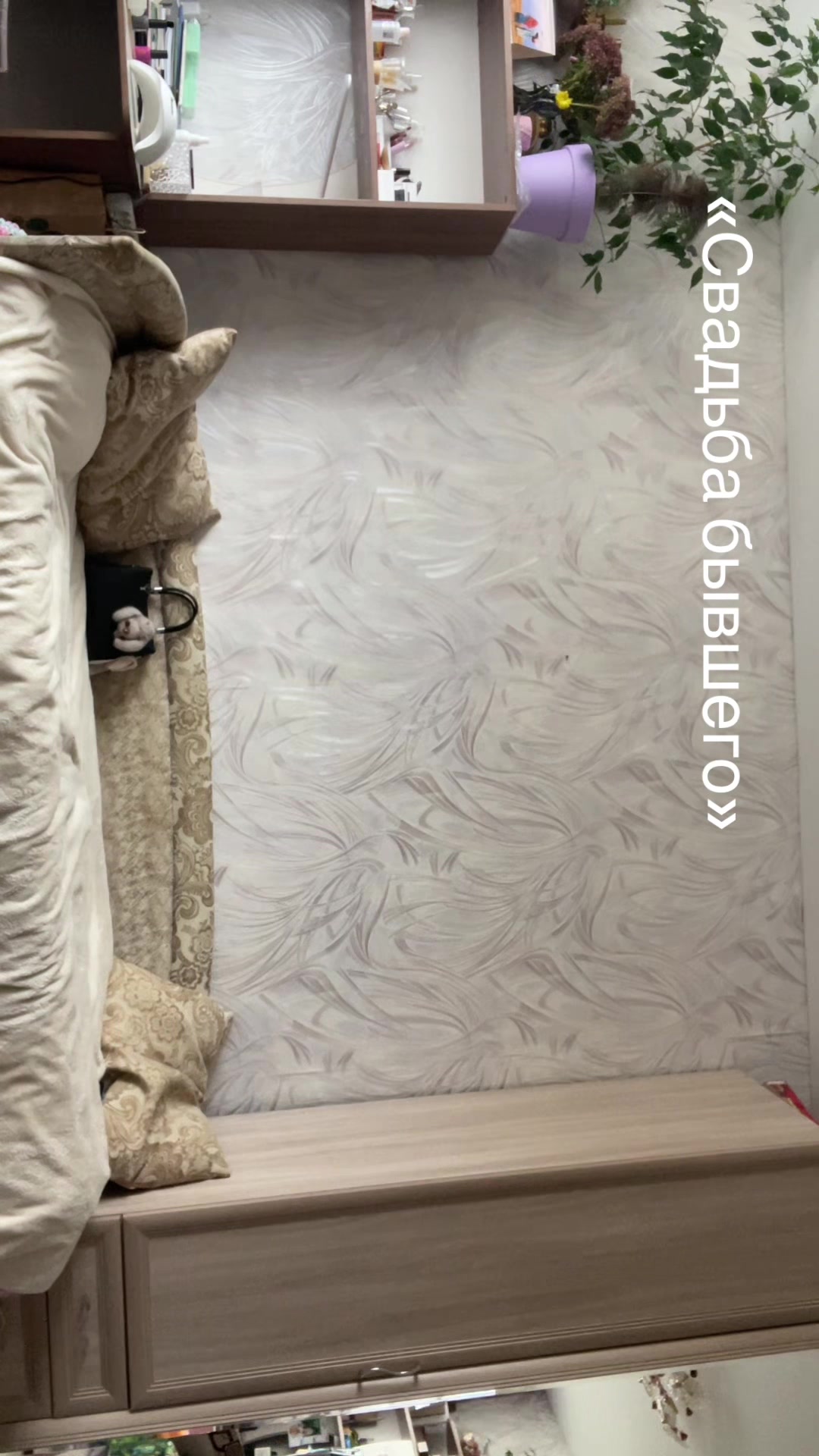 @nsewxs🐾