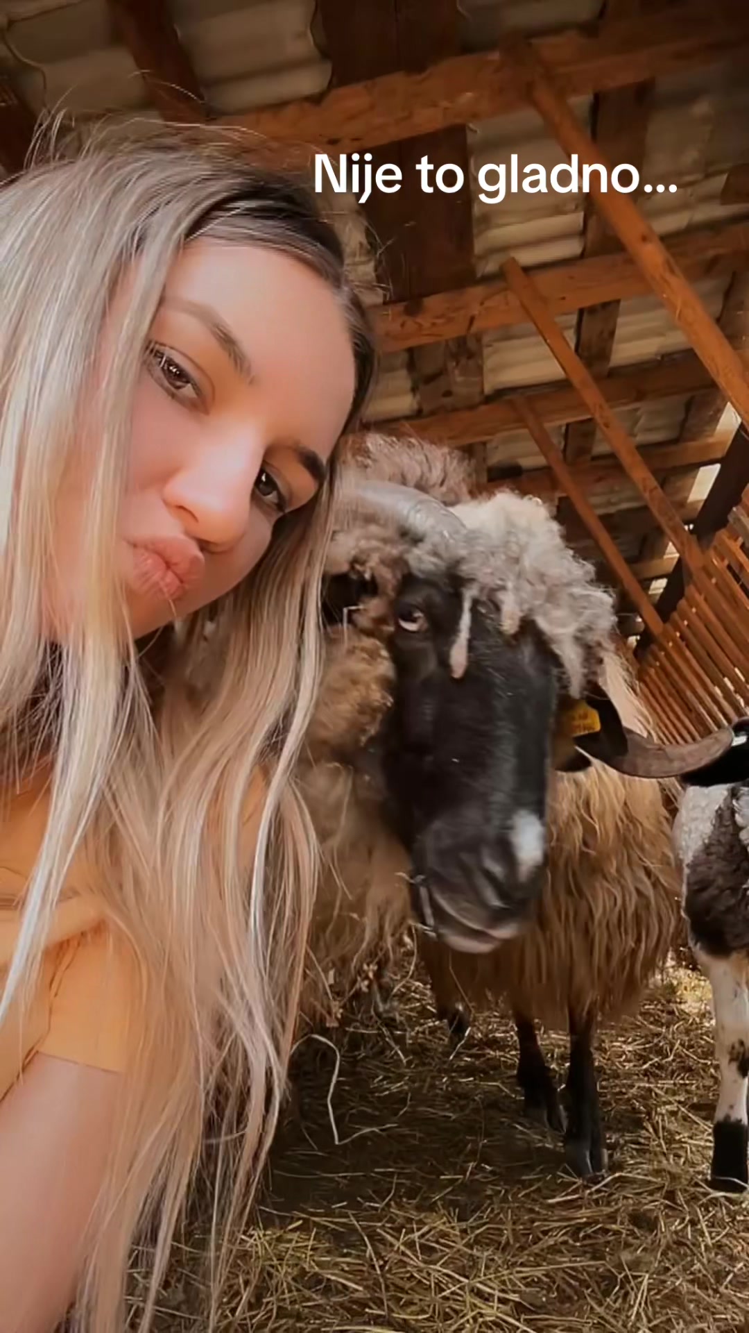 @Ilhana Novkinic