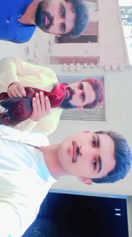 @kashifaseel2