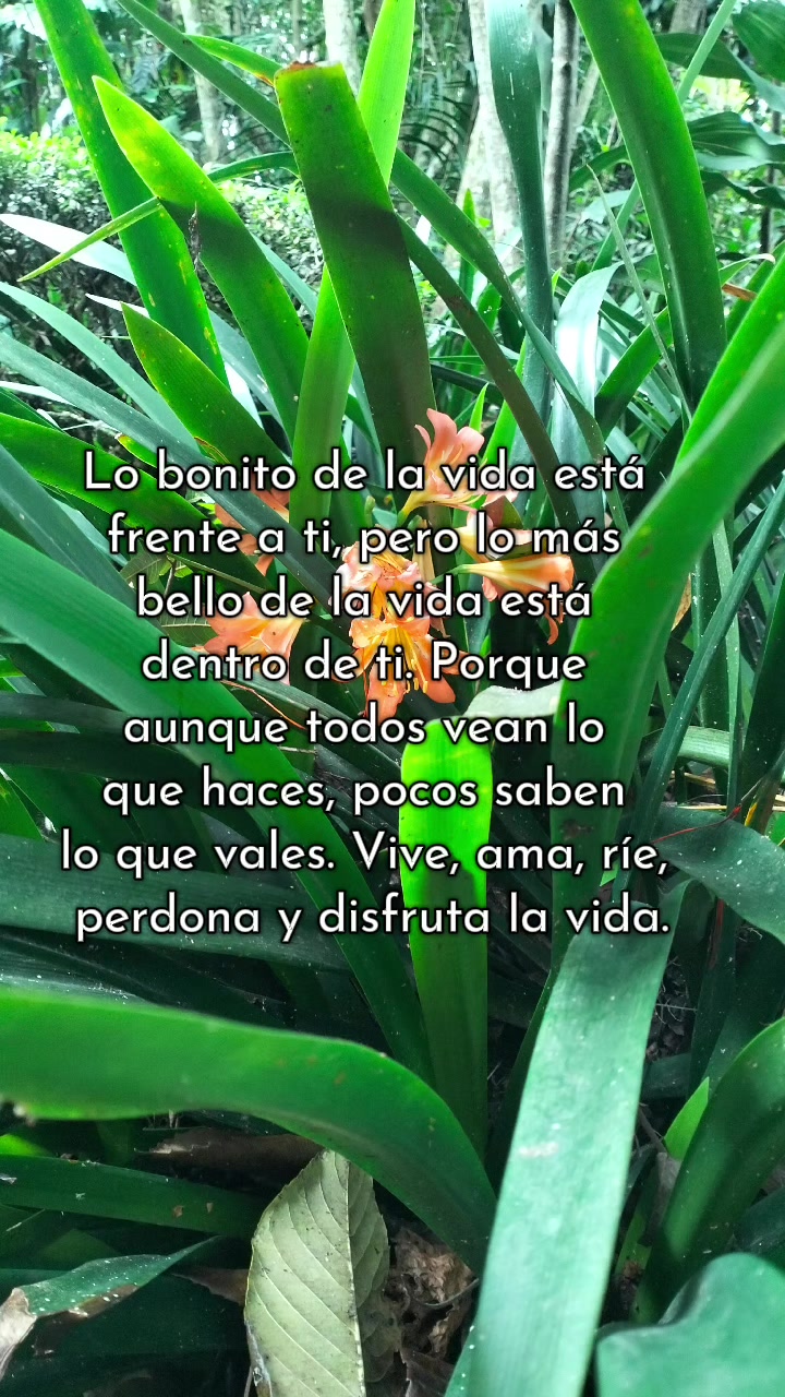 @Claudia Julieta Vill