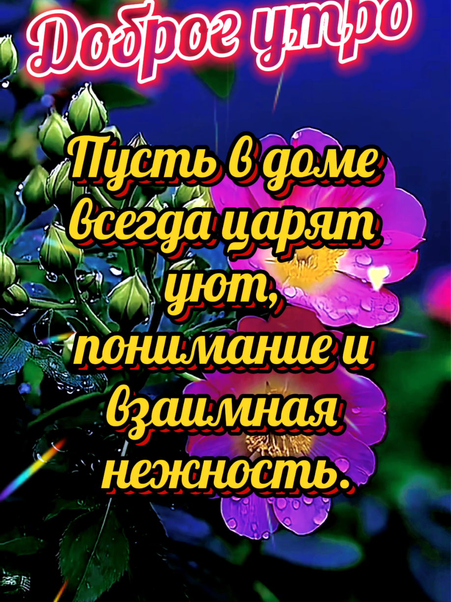 @АЛЬФИЯ