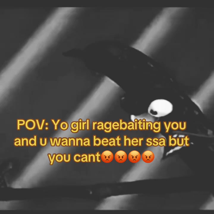 @felatian9x