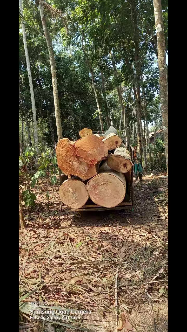 @nandriyanto0