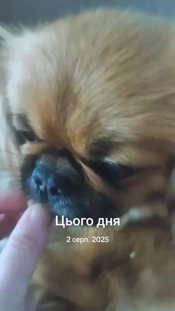 @Богдана Богдана