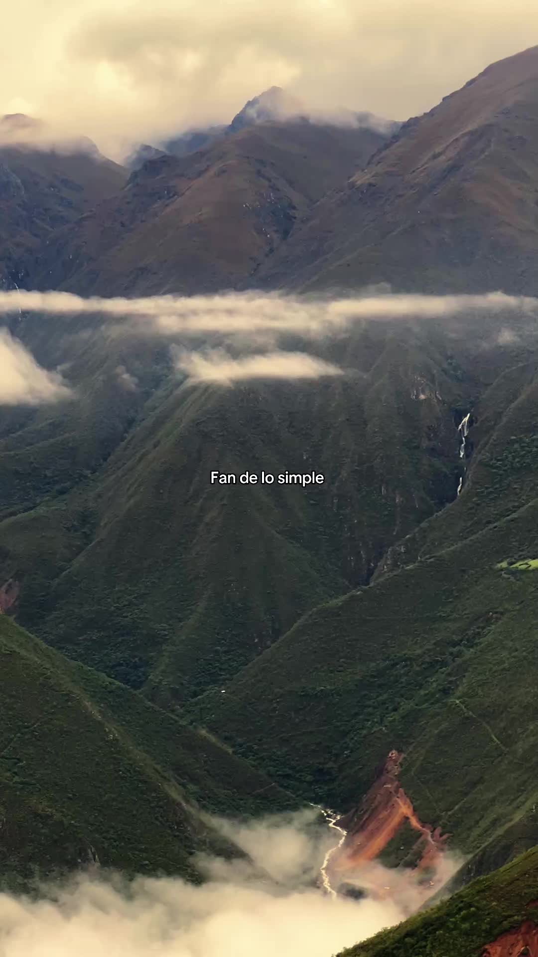 @Mayito