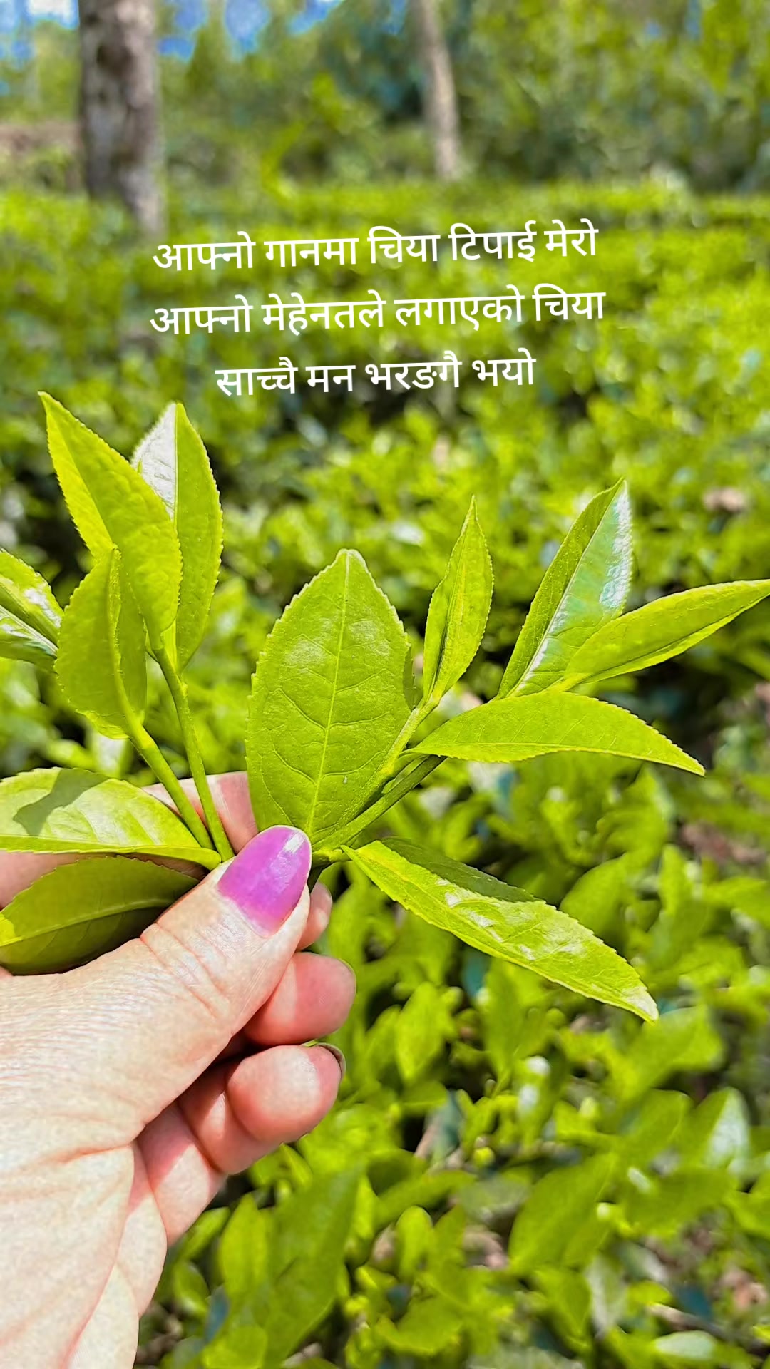 @Urmila Mishra