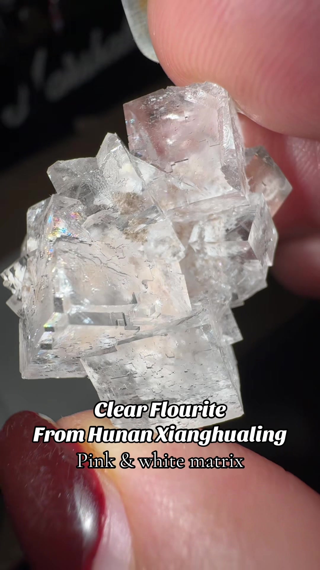 @Bella’s Crystal collection
